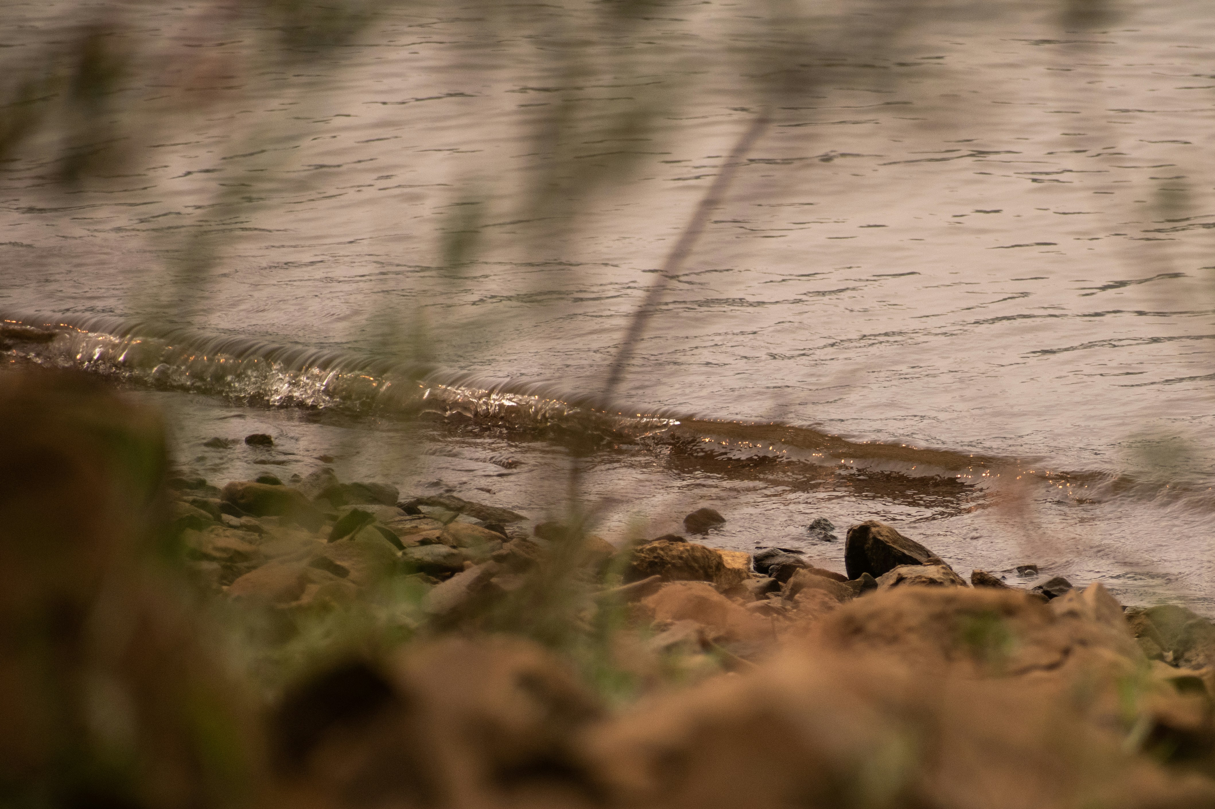 Photo by elisastonephotography