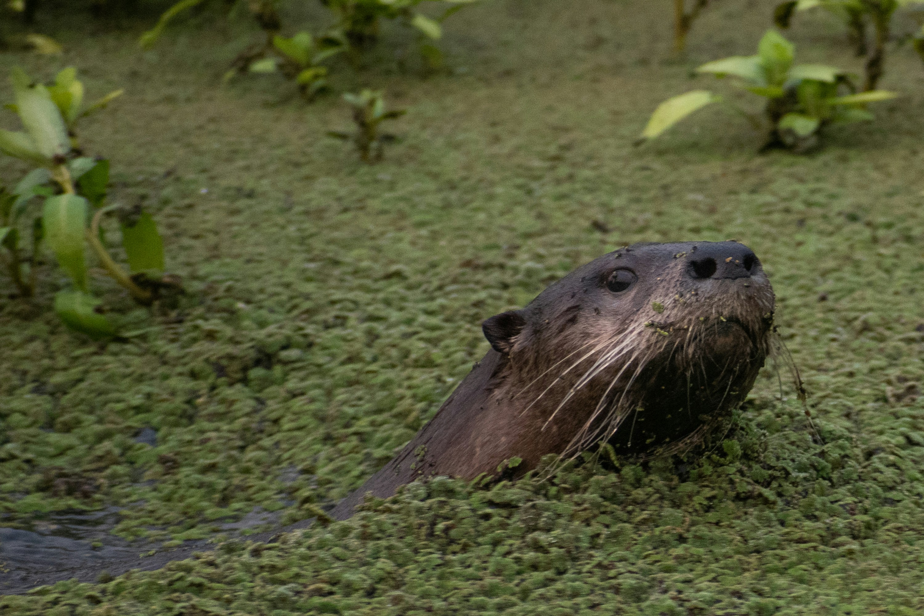 Photo by elisastonephotography