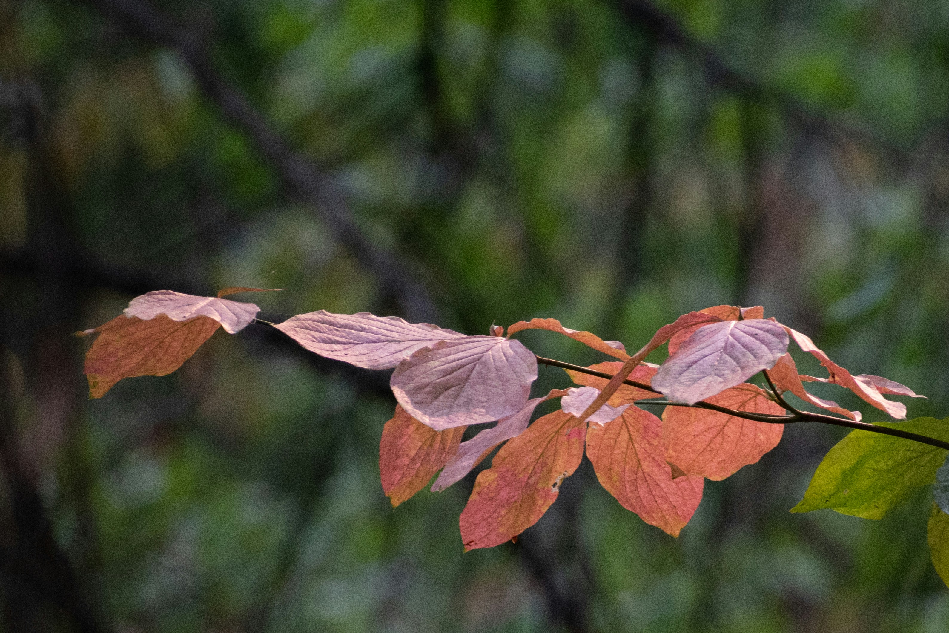 Photo by elisastonephotography