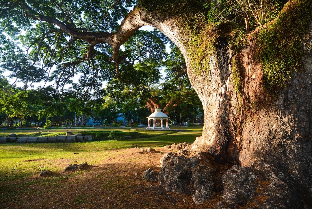 travelers stories about Nature reserve in Los Baños, Philippines