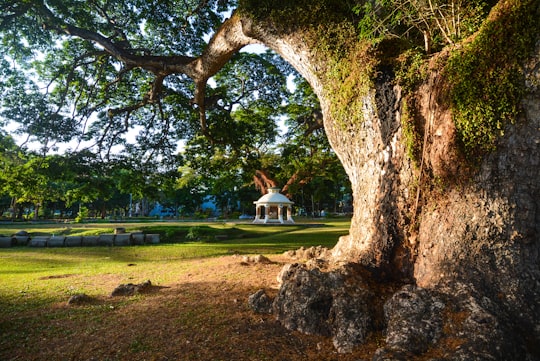 white gazebo near green trees during daytime in Los Baños Philippines