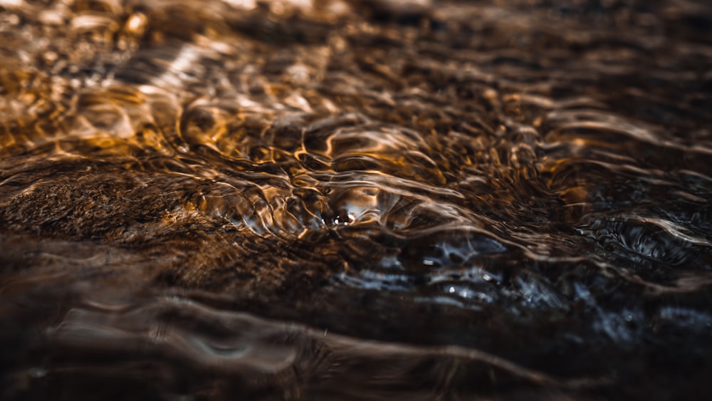 water droplets on brown soil