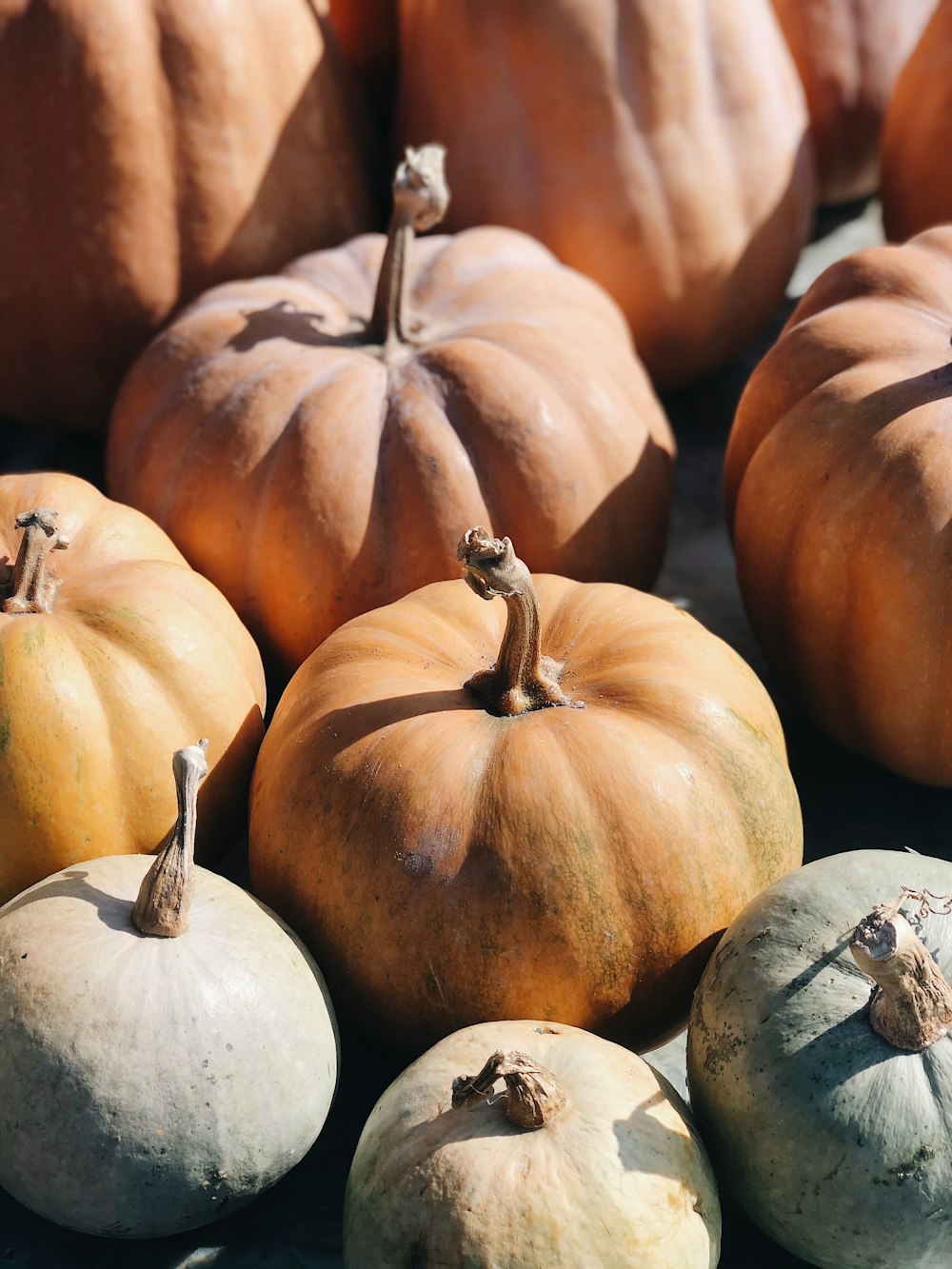 white and orange pumpkins on brown wooden table