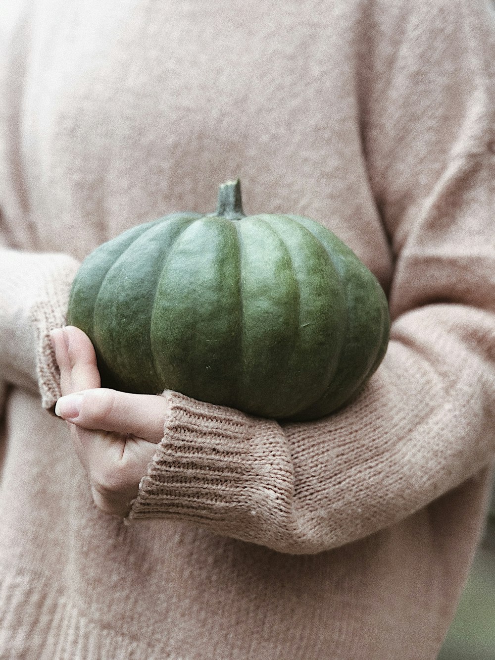 person holding green watermelon fruit