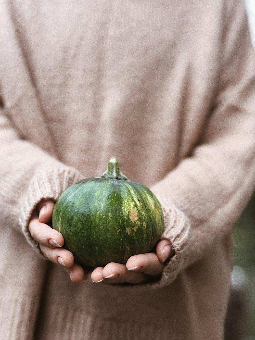 person holding green round fruit