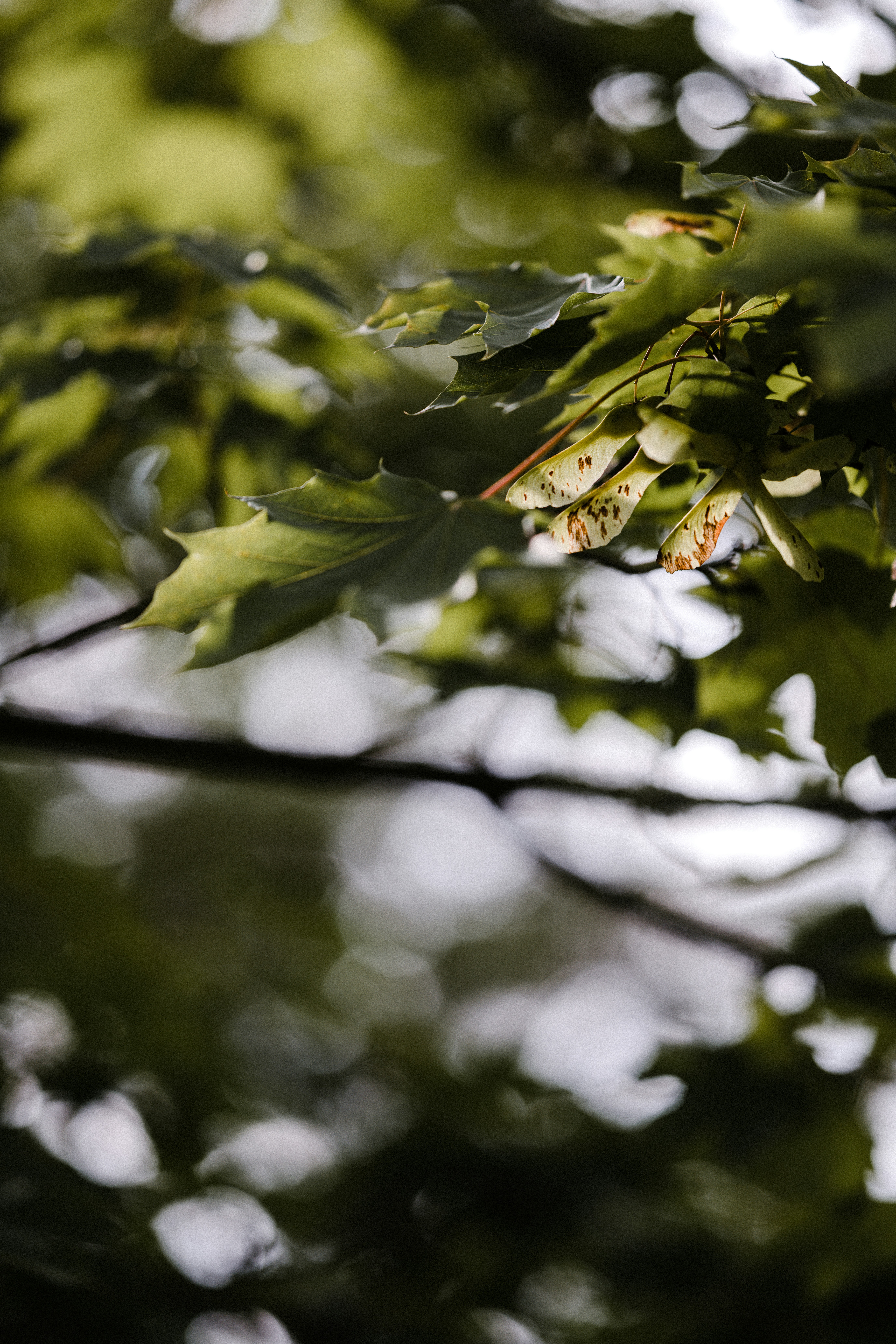 Photo by anniespratt