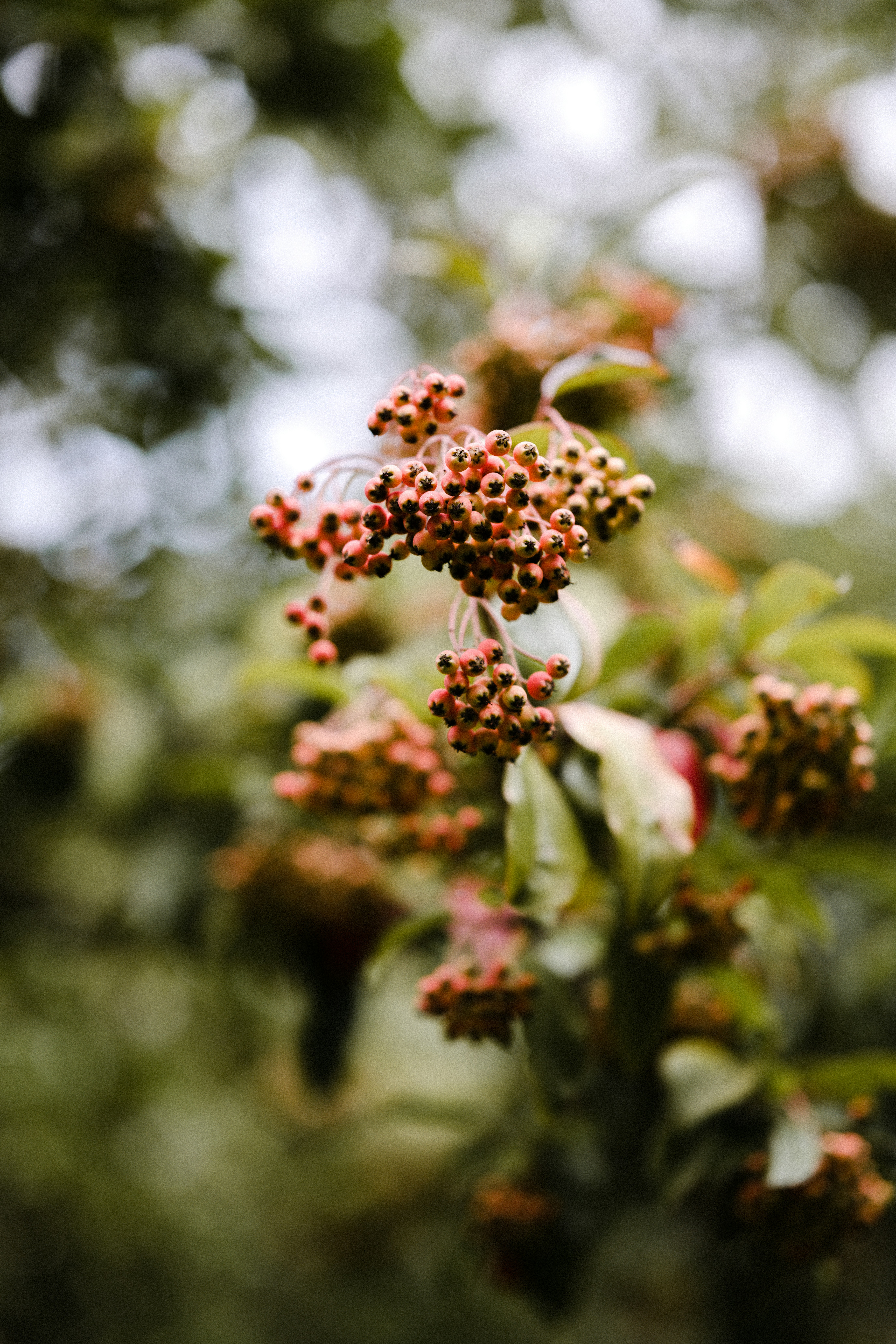 Photo by anniespratt