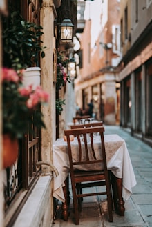 brown wooden chair beside red flowers