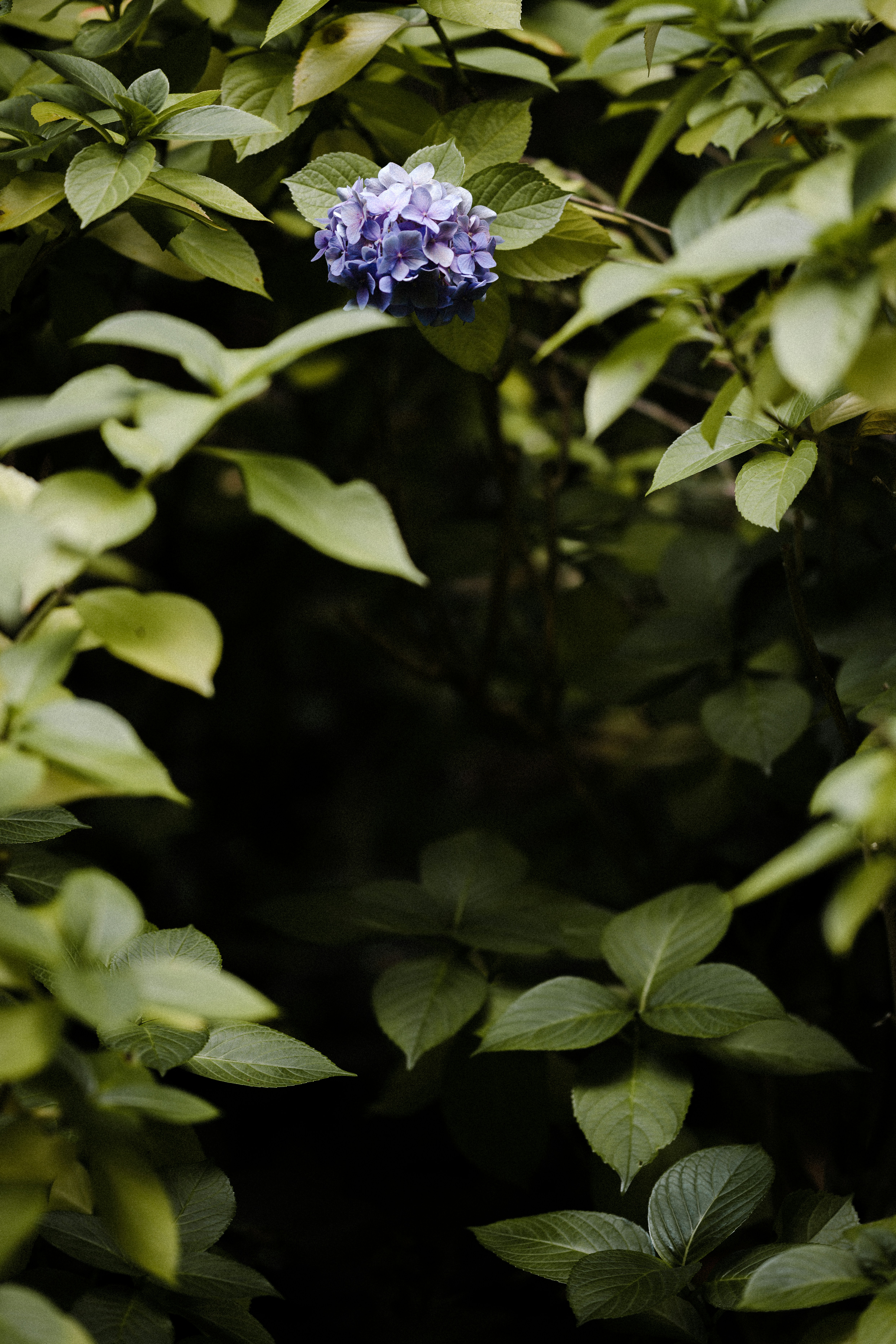 Photo by anniespratt