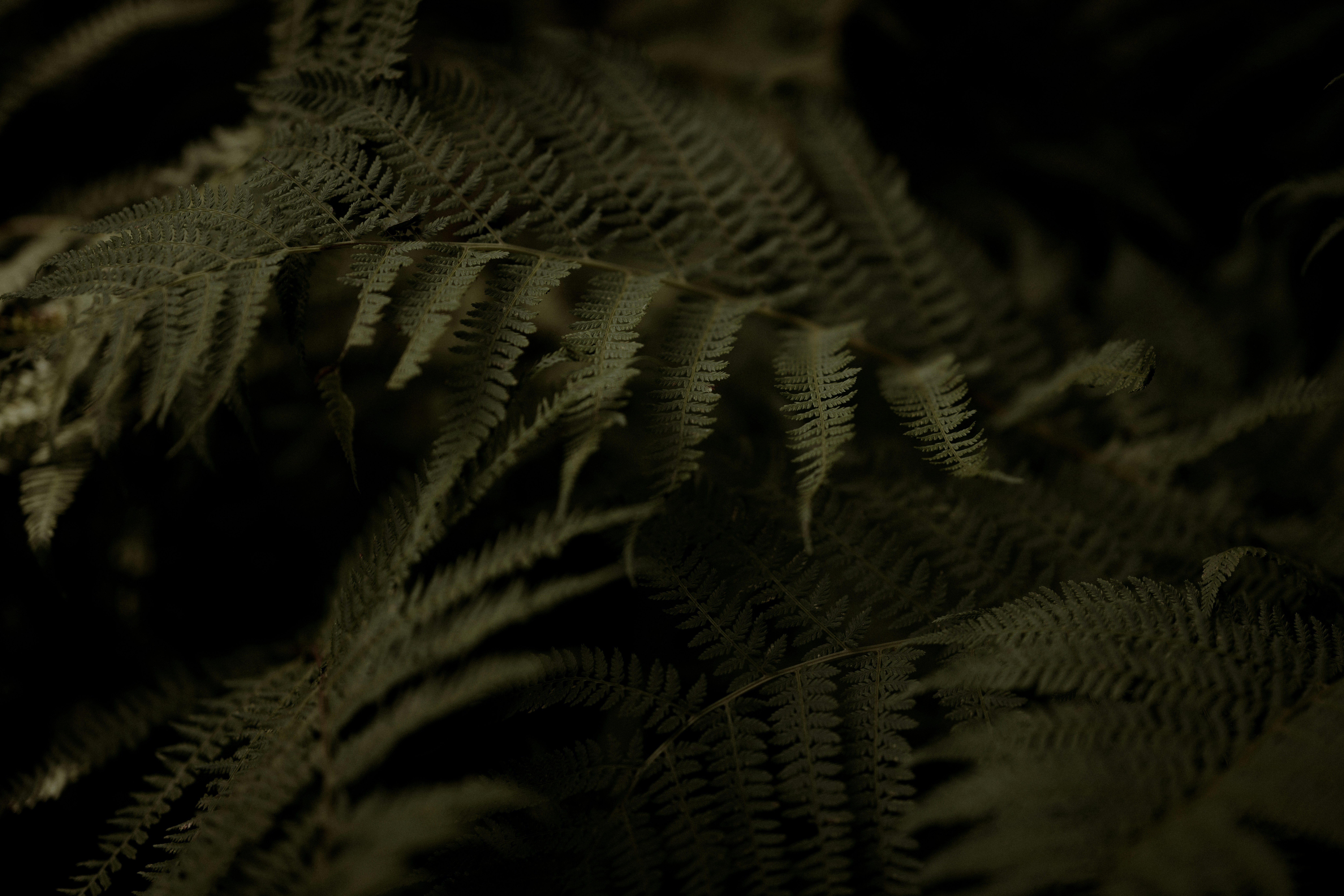 Photo by anniespratt