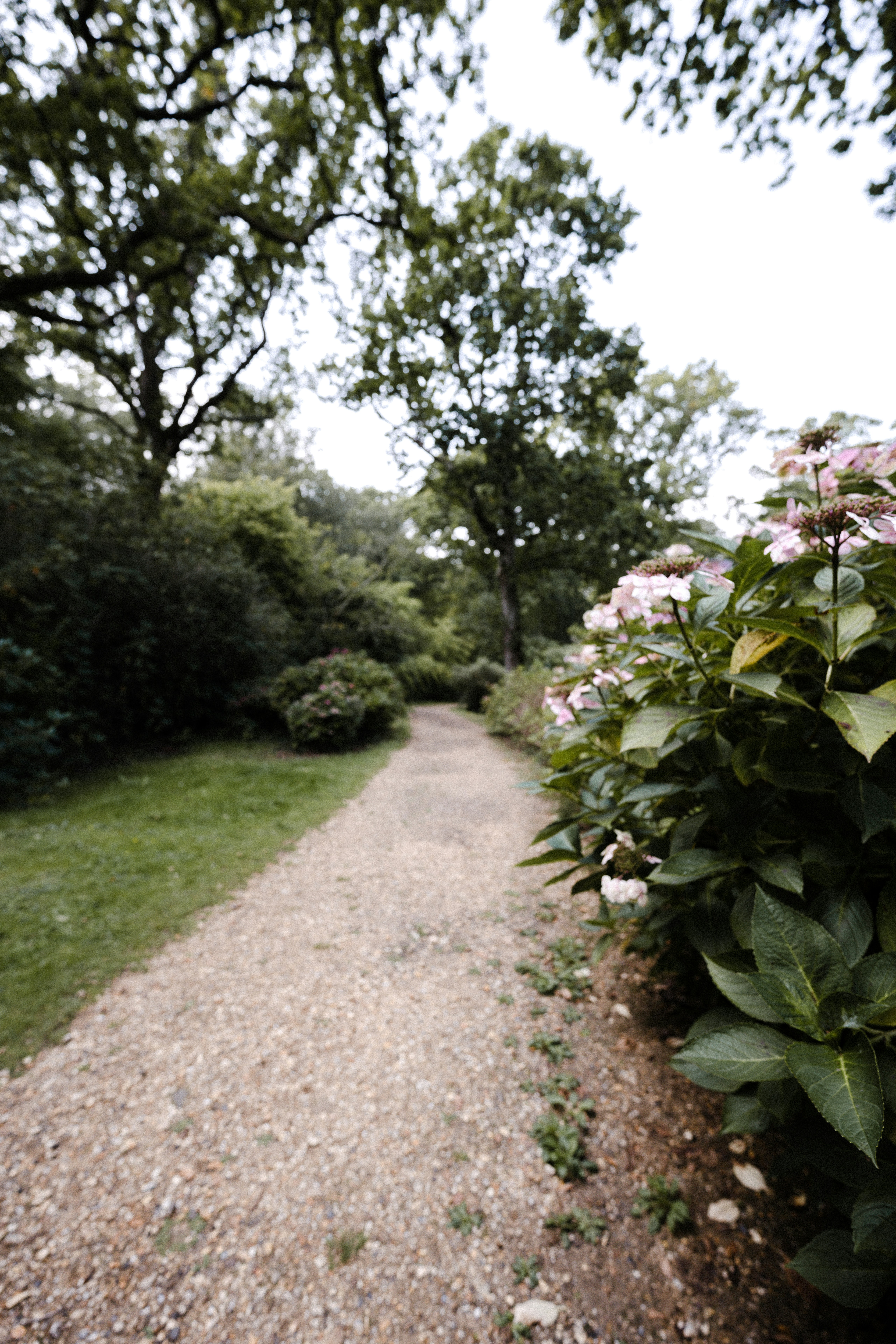 Photo by anniespratt