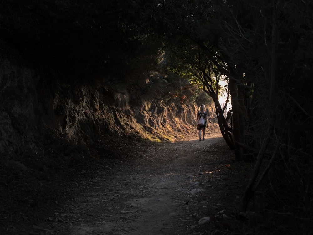 people walking on dirt road between trees during daytime