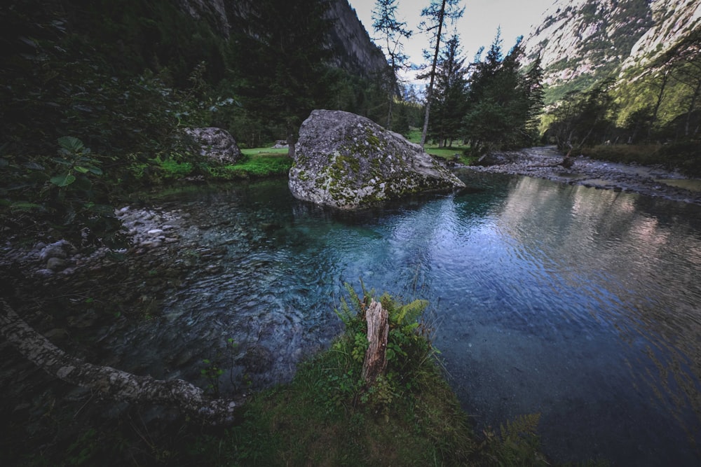 green moss on rock formation beside river during daytime