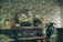 A cozy interior with vintage-style wallpaper featuring a floral pattern as a backdrop. Shelves hold a variety of items including small art pieces, a decorative mirror, books, and potted plants. The decor creates a rustic and inviting atmosphere.