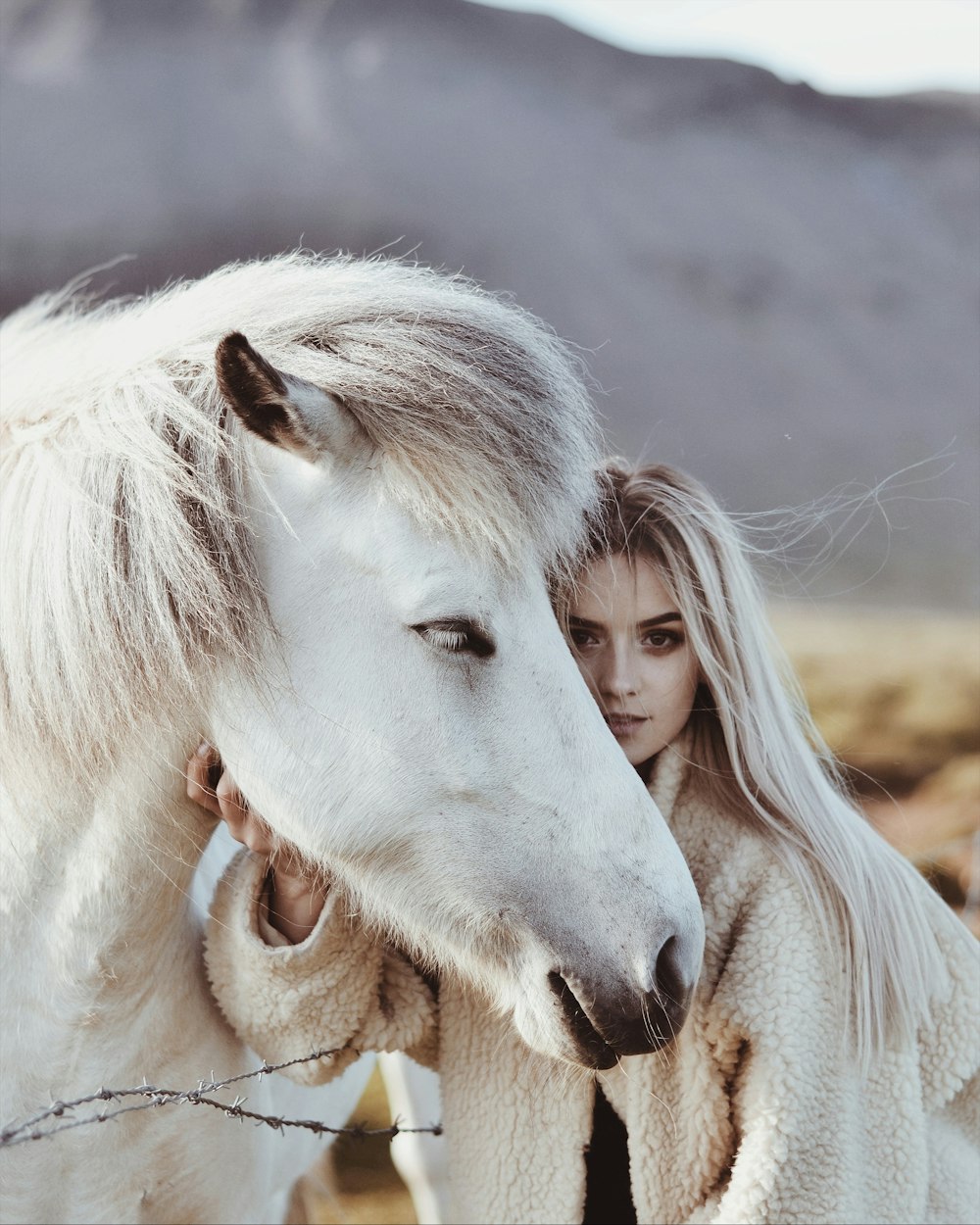 caballo blanco con ojos marrones