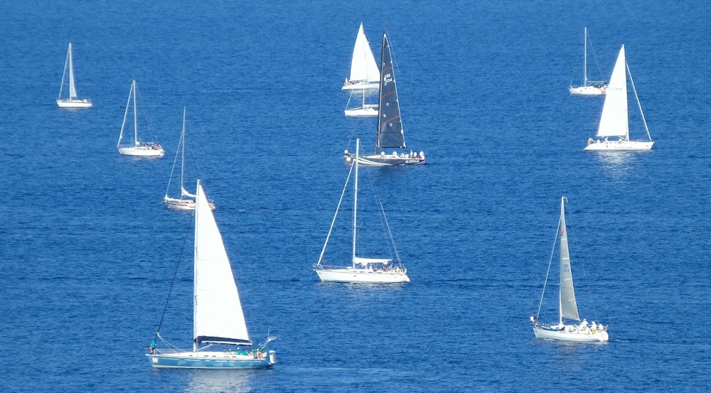 velero blanco en el mar azul durante el día