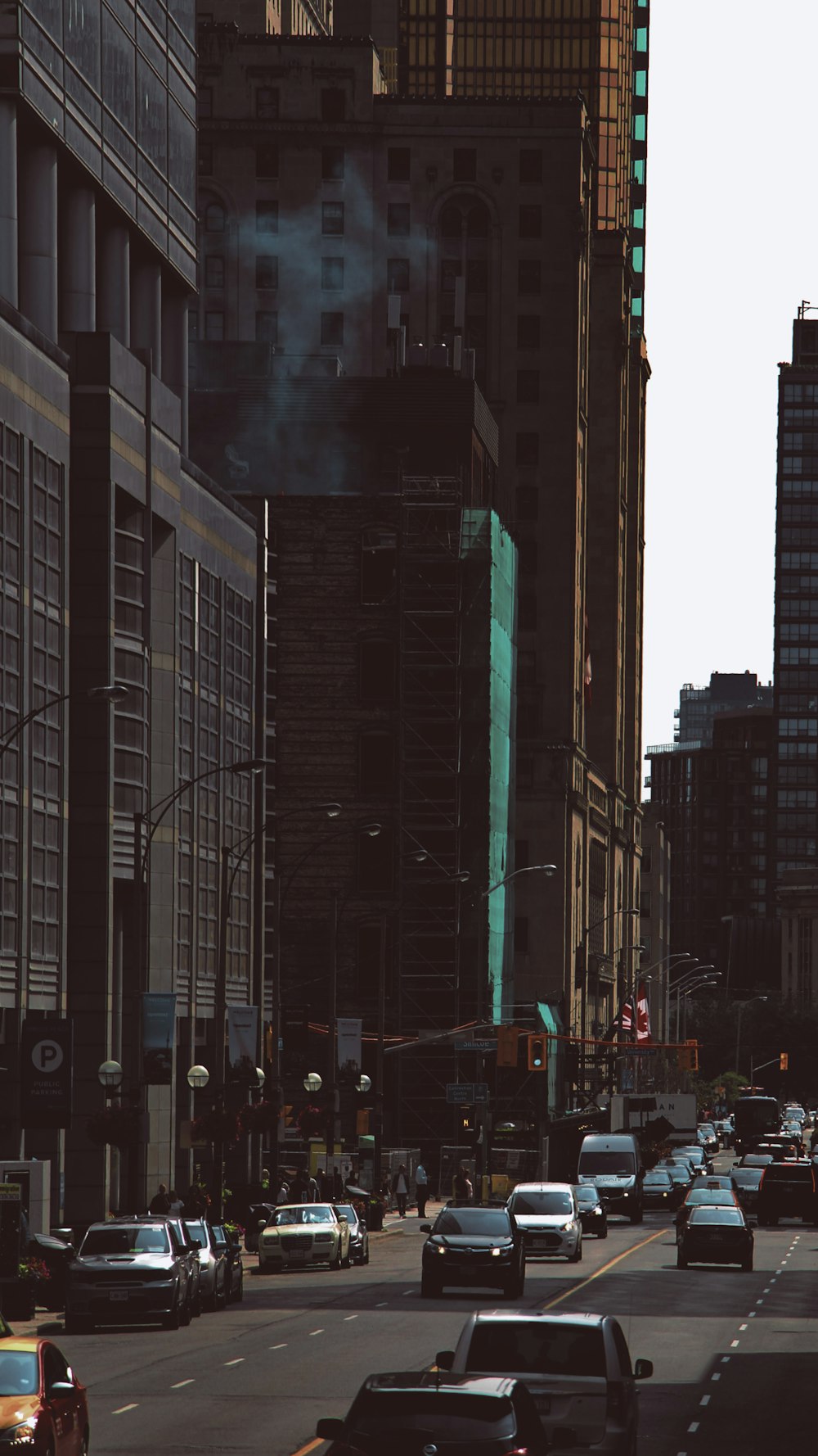 people walking on street during daytime