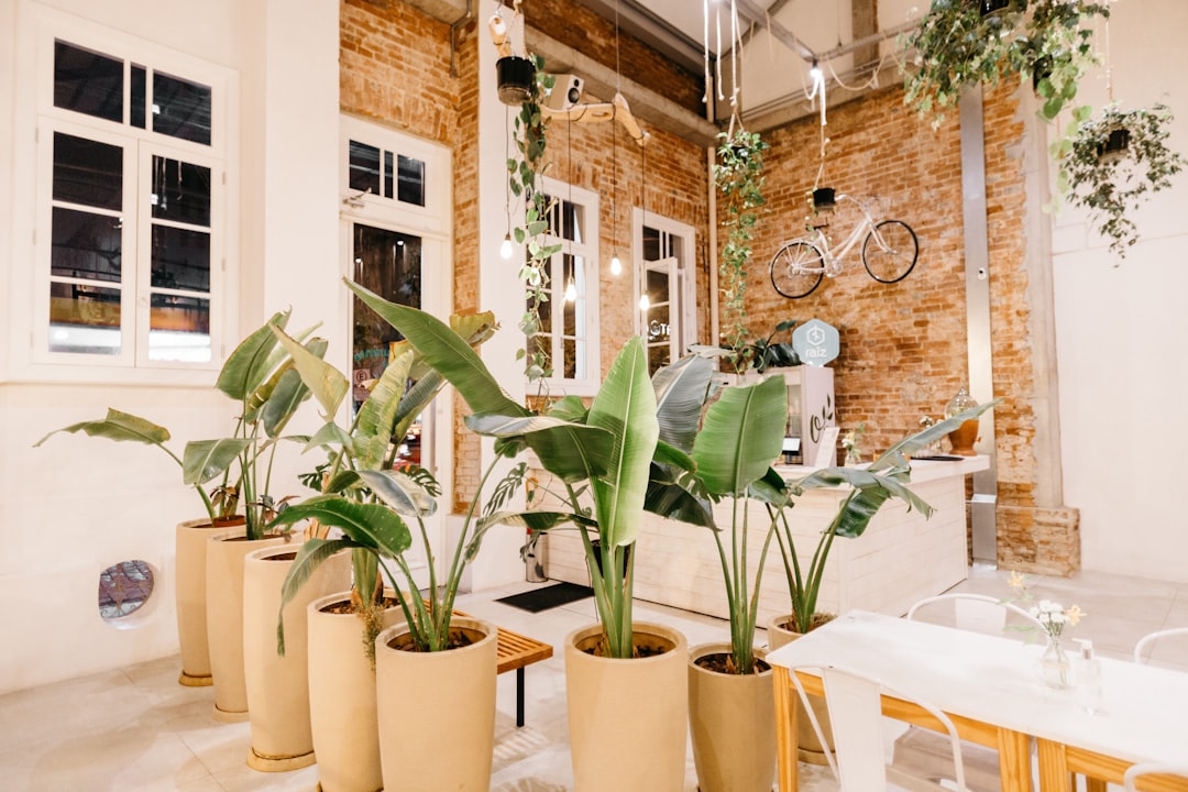 green plants on brown clay pots