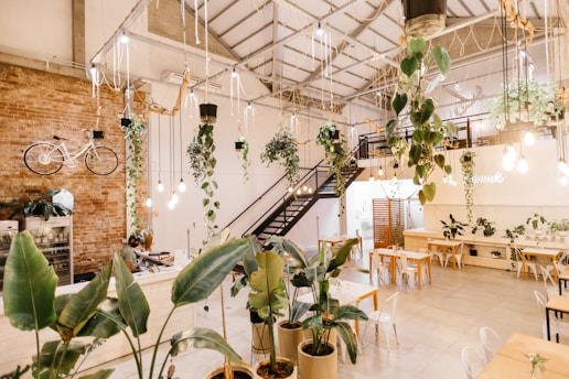 los mejores restaurantes de  Tamaulipas