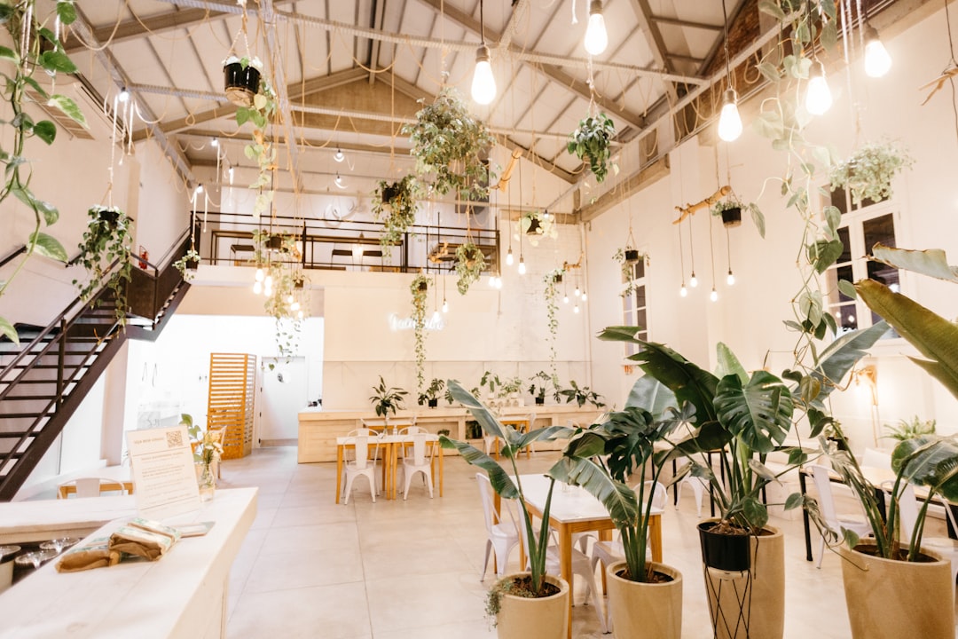green potted plants on white table,