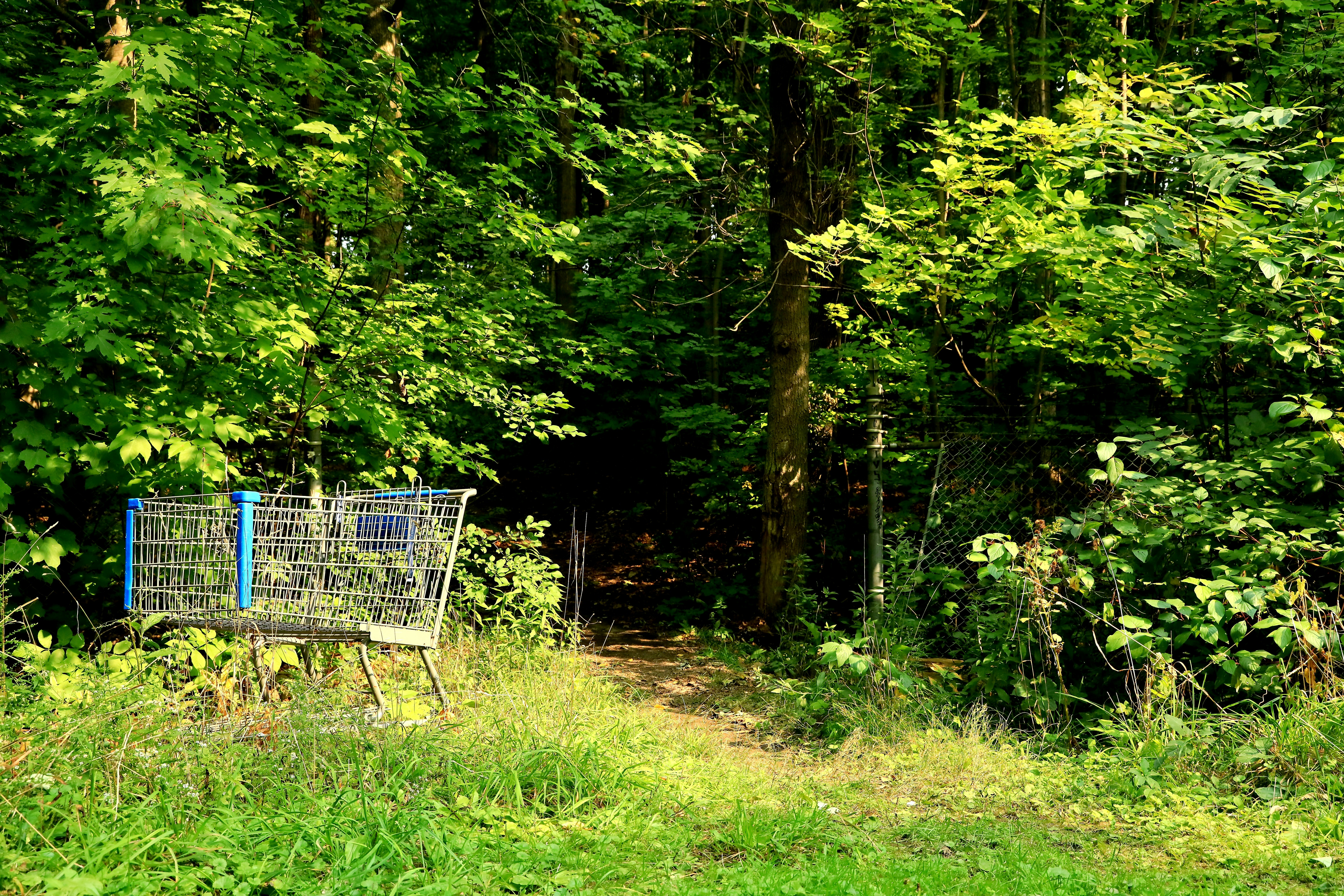 Photo by richardworks