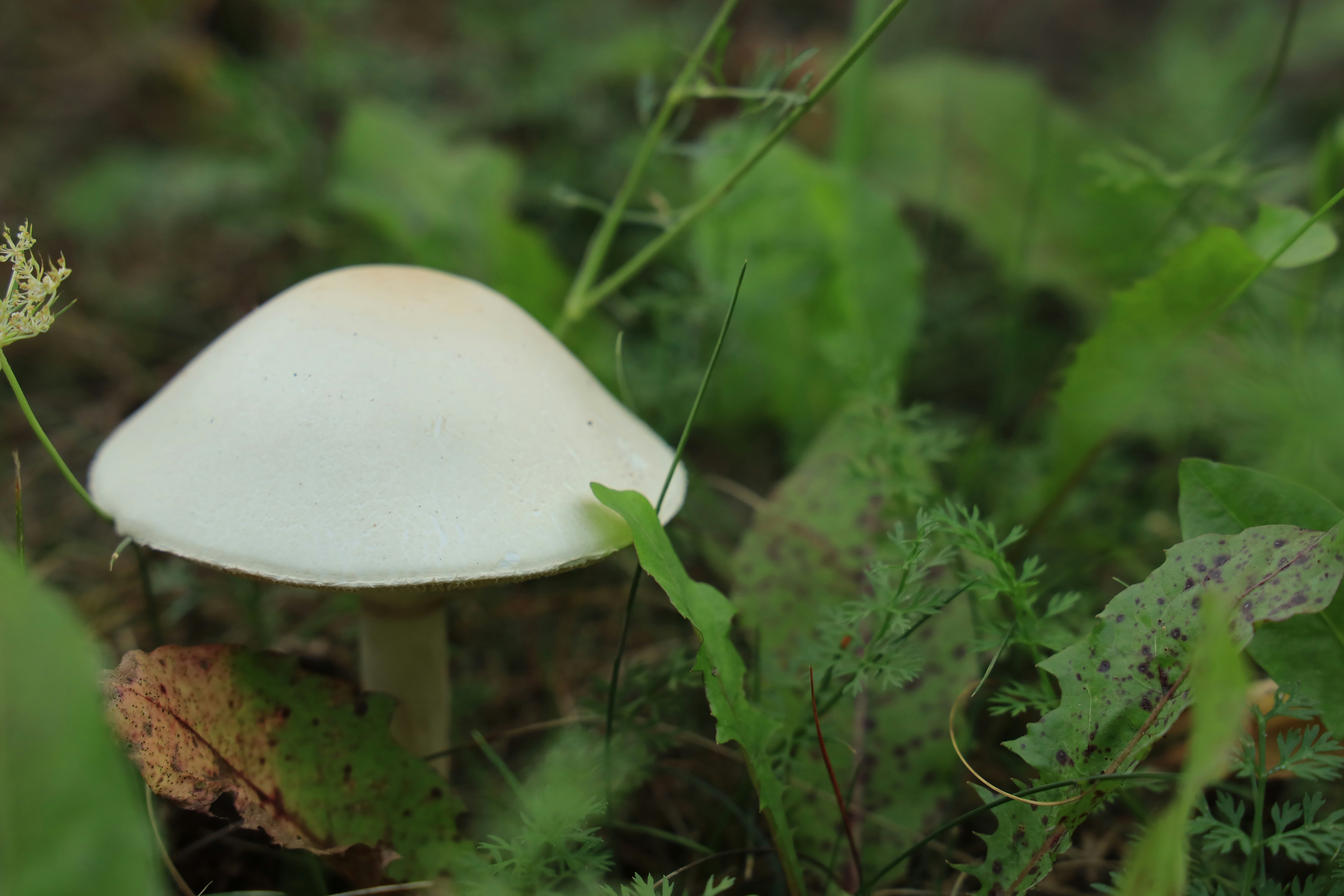 Photo by richardworks