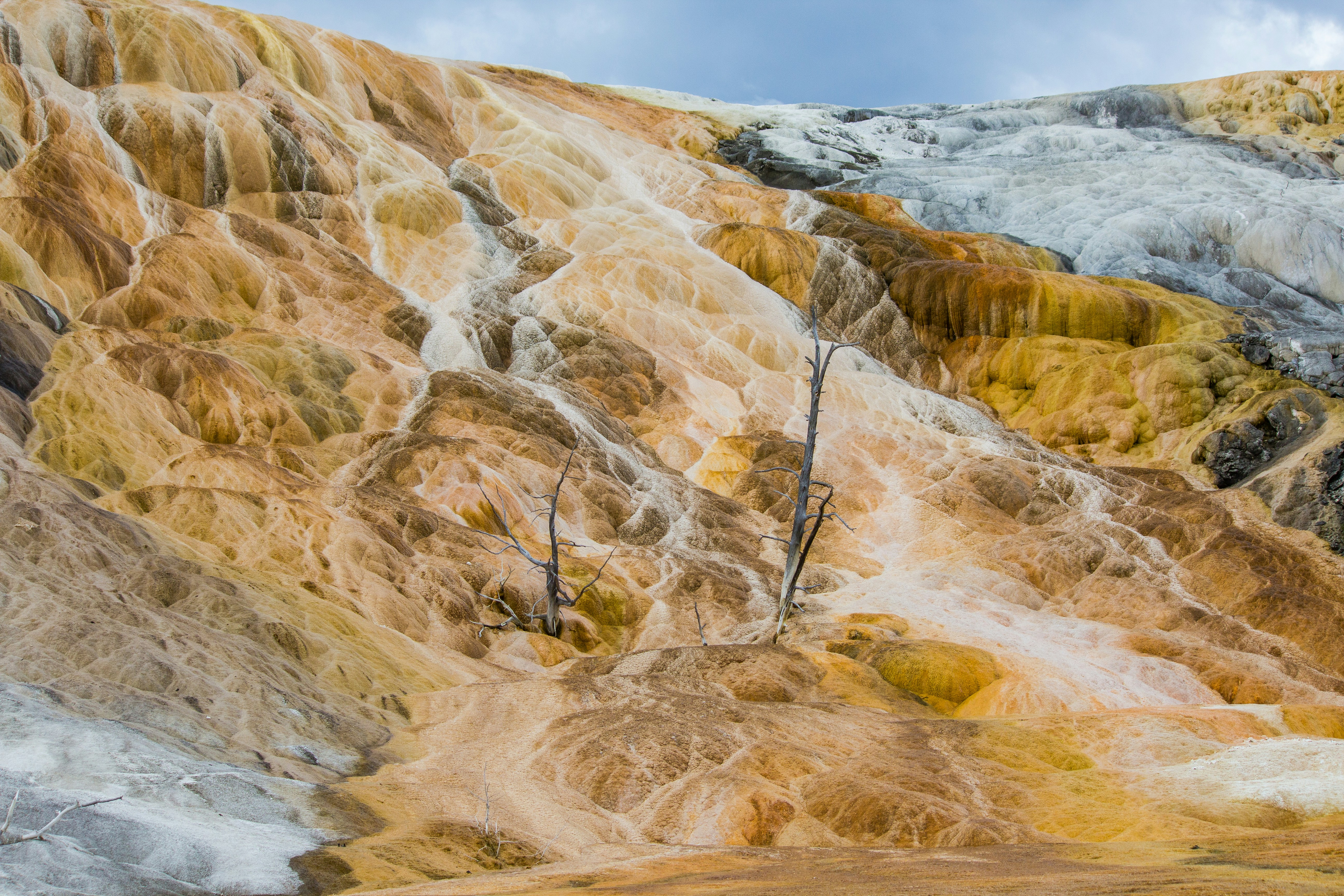 Mammoth Springs. Alien landscape.