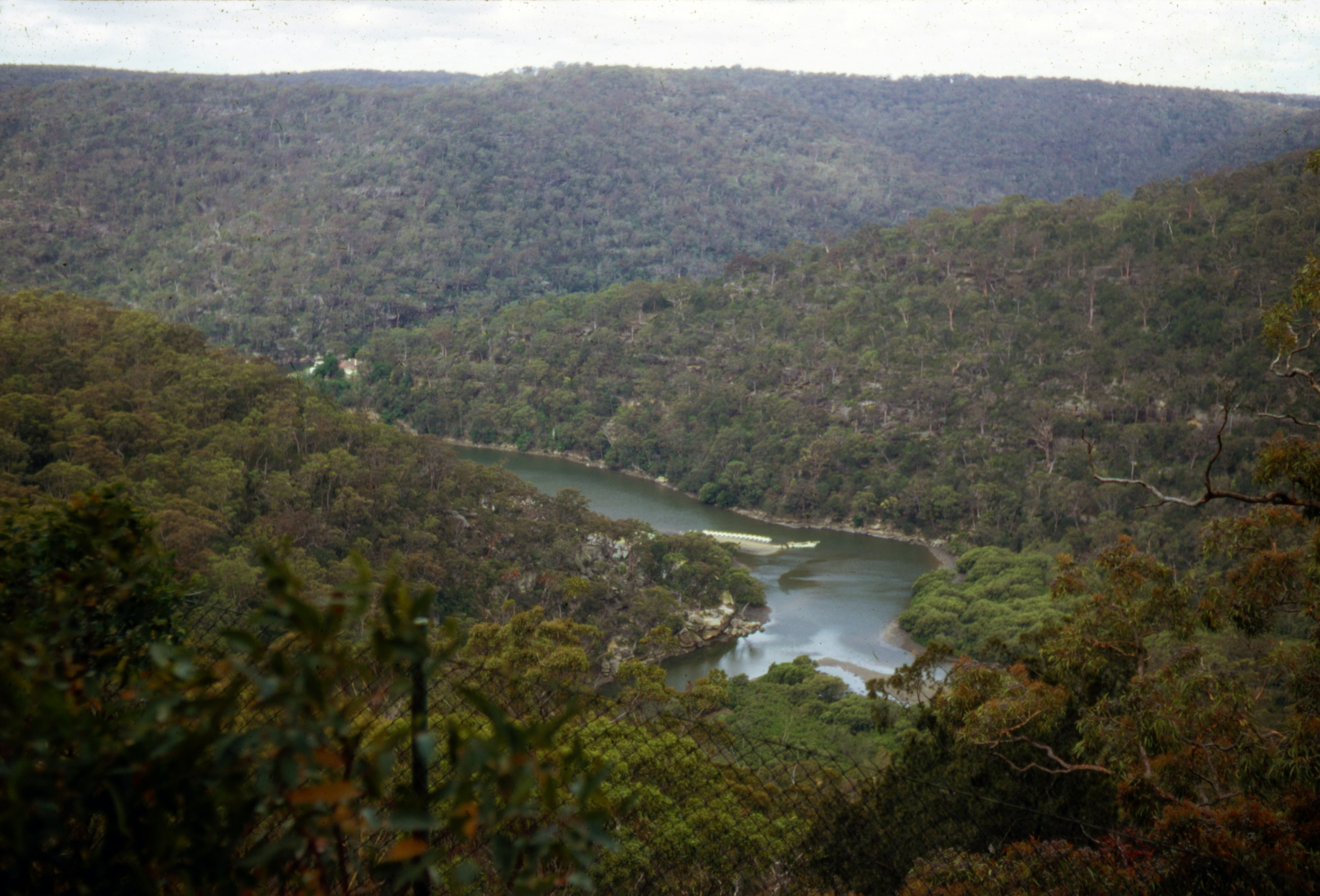 Photo by brett_jordan