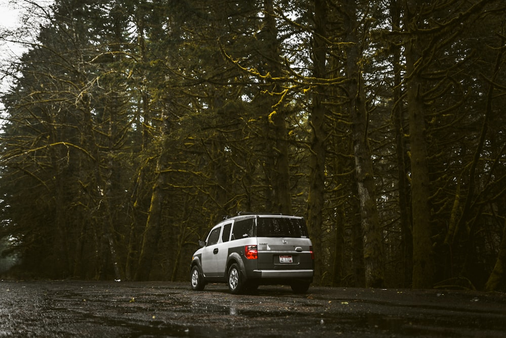 VUS blanc garé sur la forêt pendant la journée