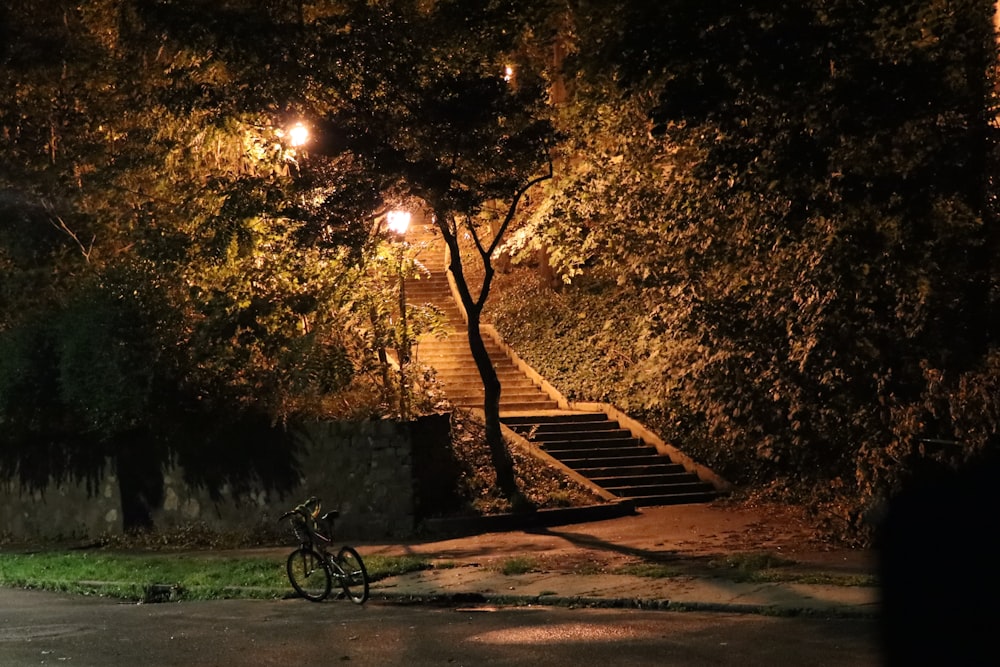 black bicycle parked beside brown tree during sunset