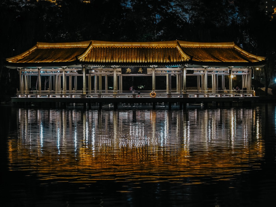 brown wooden house on water