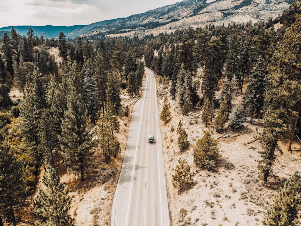 gray road between green trees during daytime