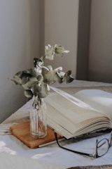 A serene scene of a sunlit room filled with cozy cushions and healing books arranged invitingly.