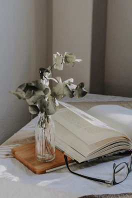 Cozy morning scene with swasthyarasa sachets next to a book and soft light pouring through a window.