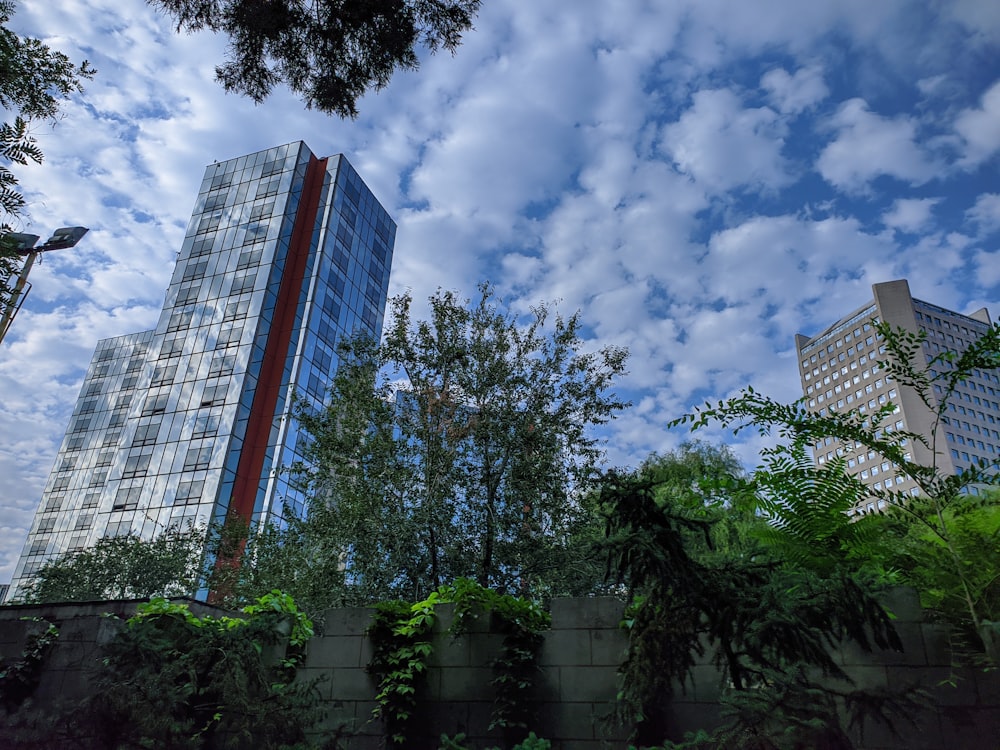 낮 동안 푸른 하늘 아래 흰색 콘크리트 건물 근처의 녹색 나무