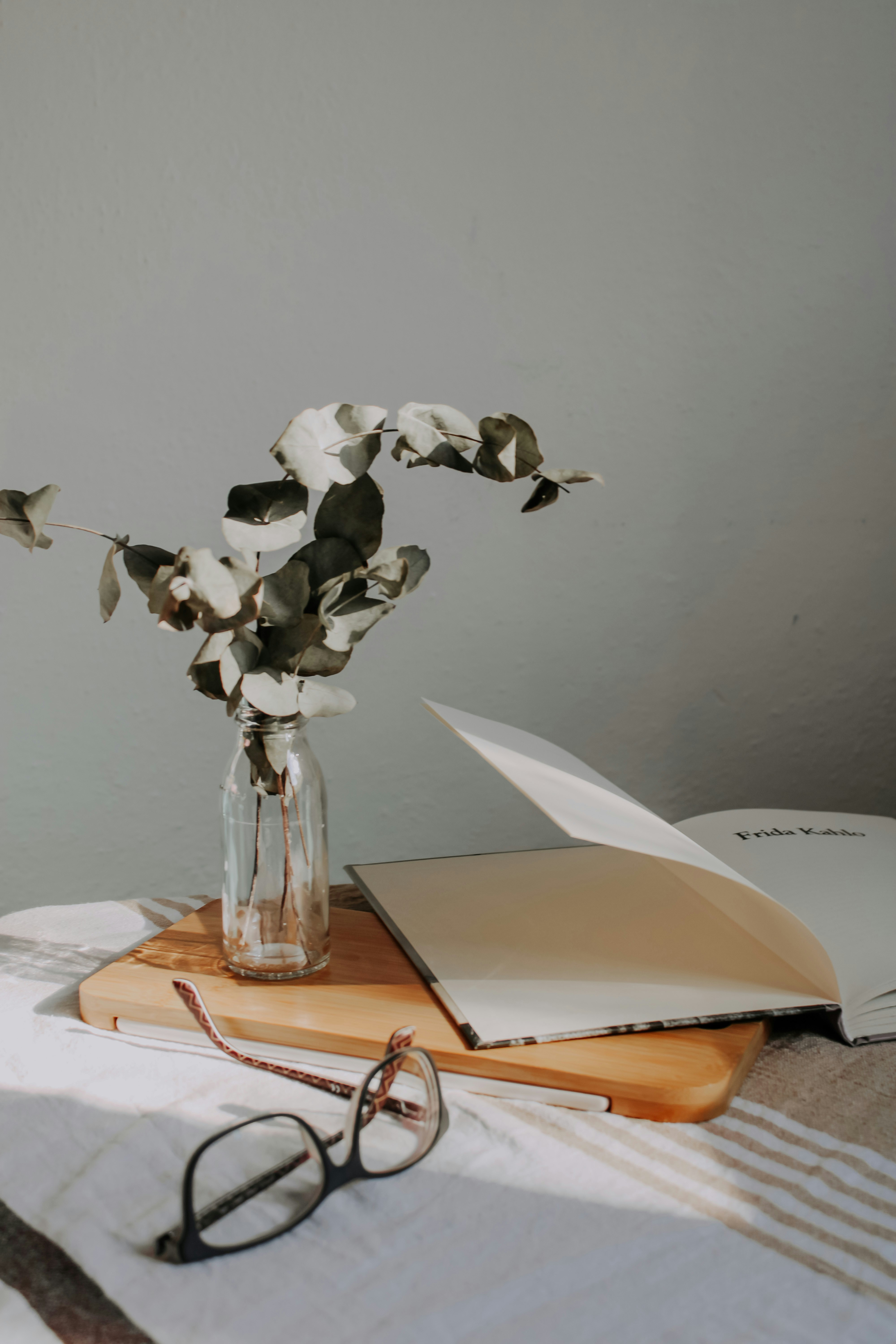 flowers that don't die enhance any space