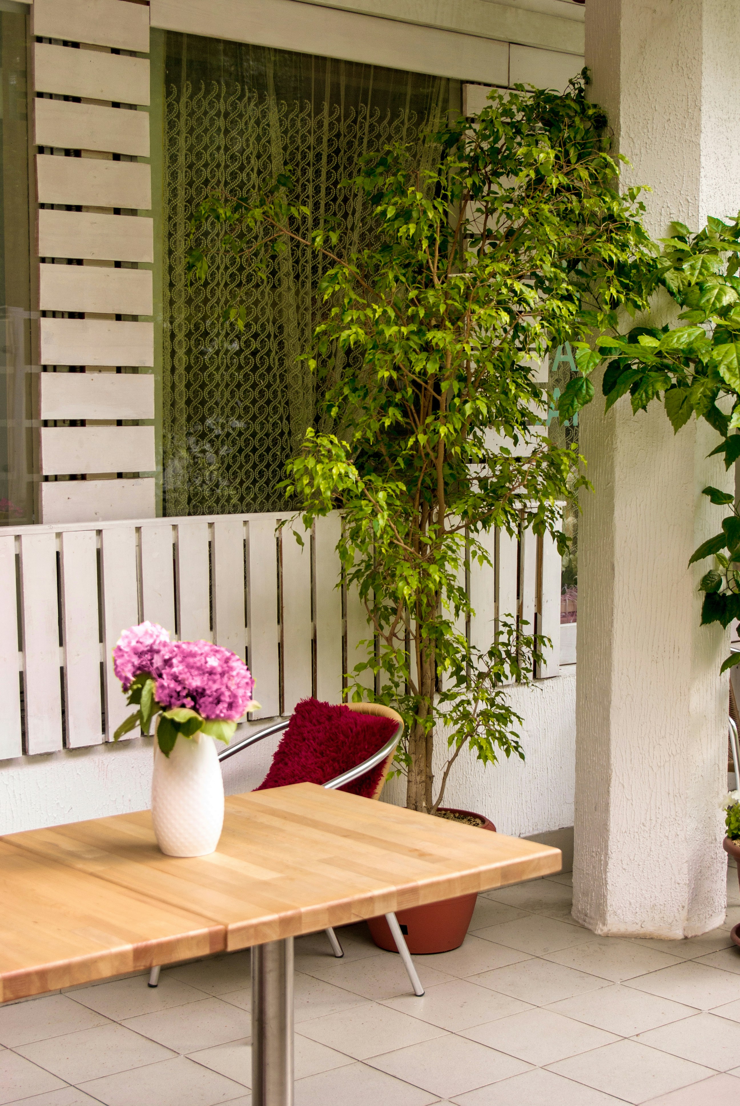 Photo by candyflavor89