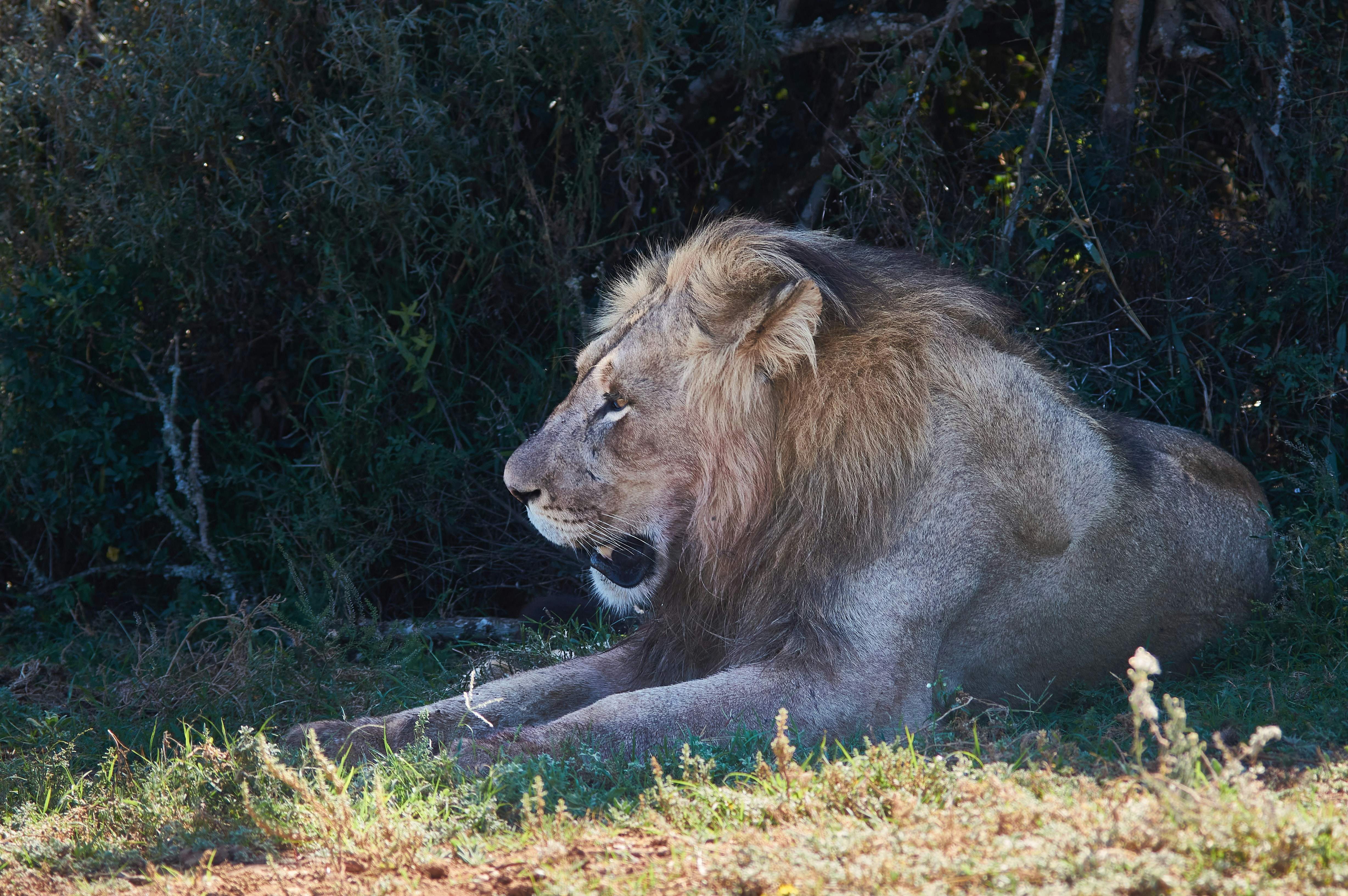 Photo by wolfgang_hasselmann