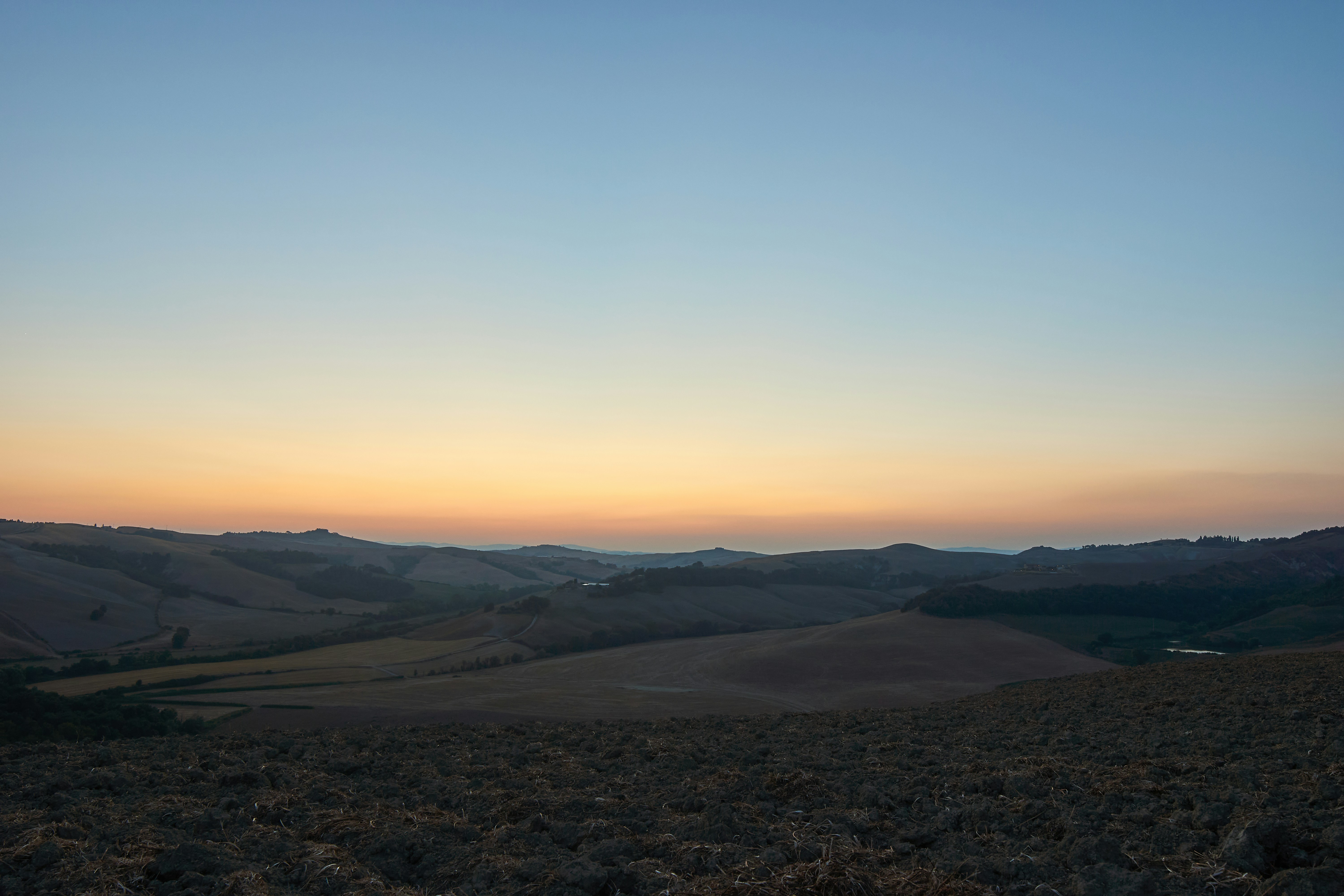 Photo by wolfgang_hasselmann