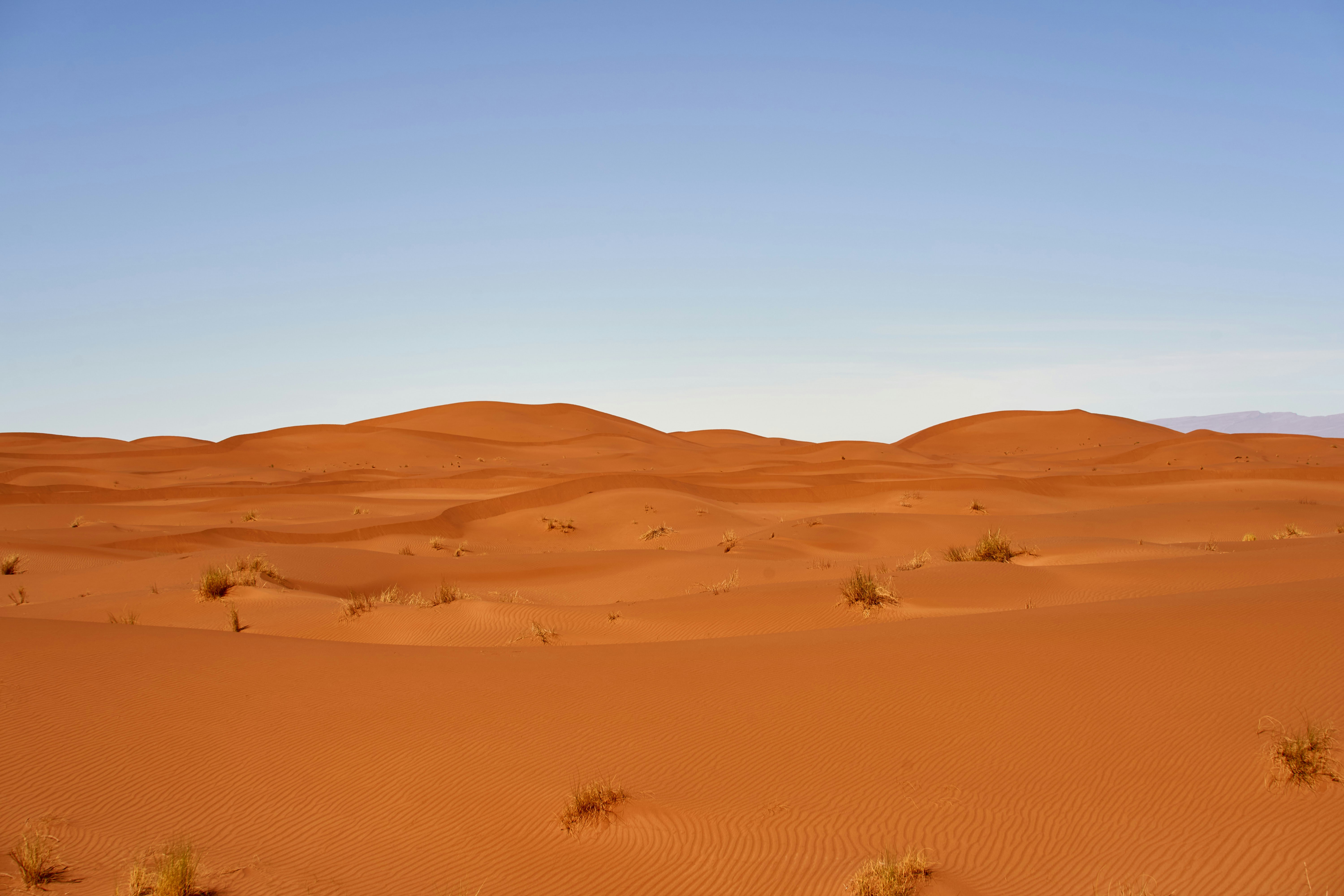 Photo by wolfgang_hasselmann