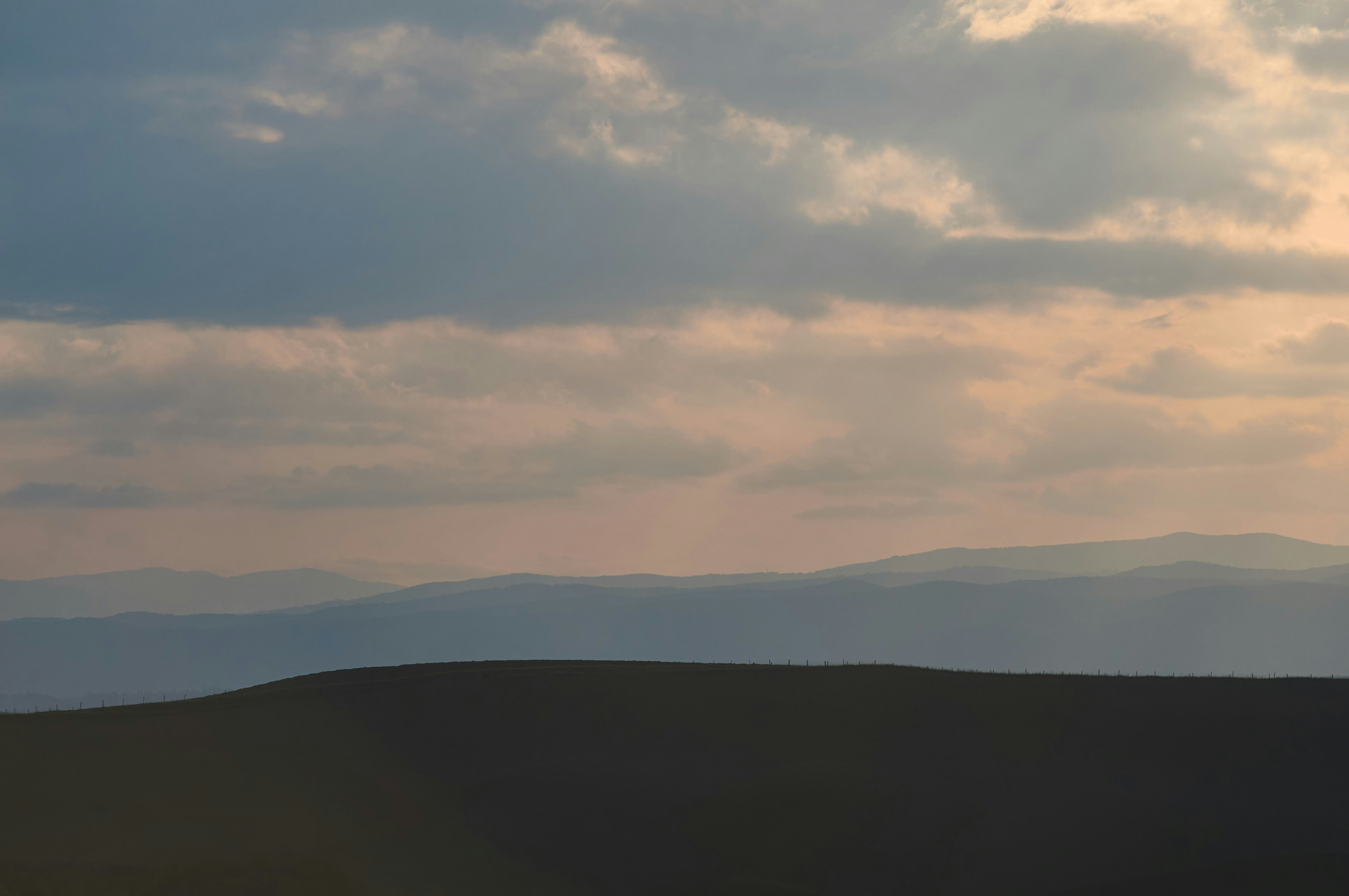 Photo by wolfgang_hasselmann