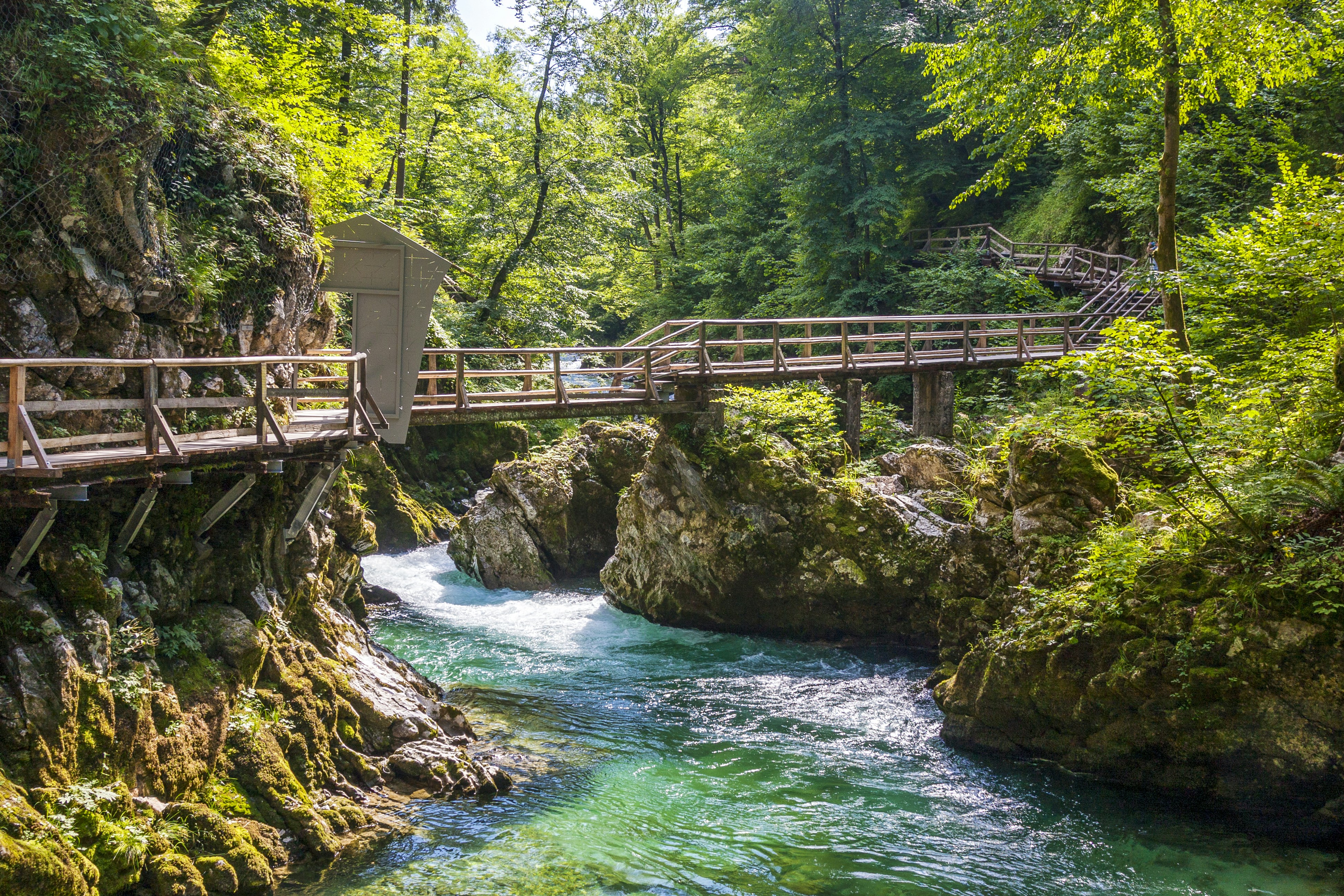 Photo by eugene_kuznetsov