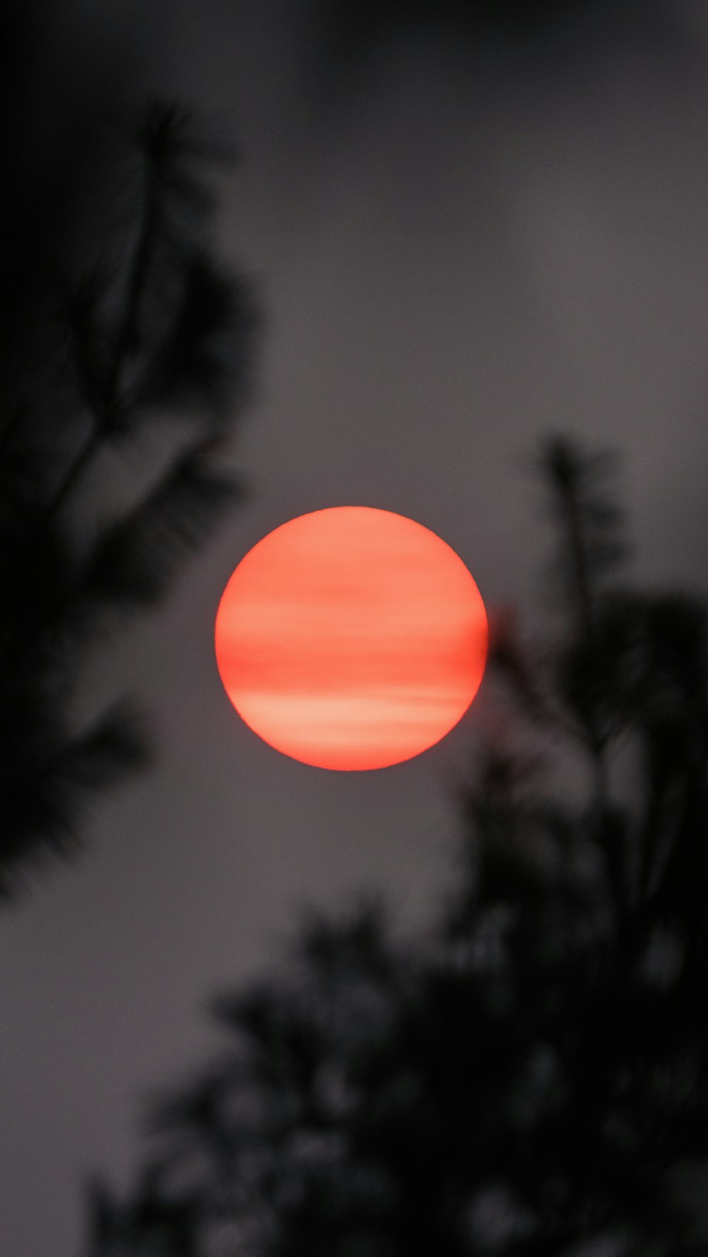 balão rosa no céu