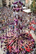 people in pink and purple dress dancing on street during daytime