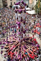 people in pink and purple dress dancing on street during daytime