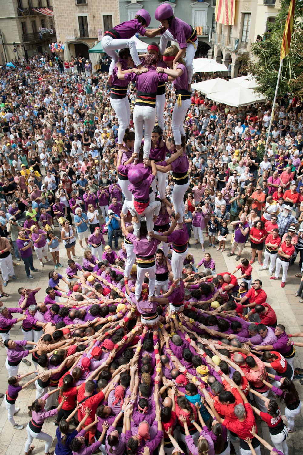 people in pink and purple dress dancing on street during daytime