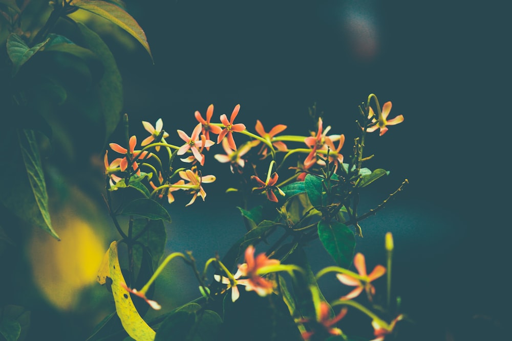 yellow and green leaves in tilt shift lens