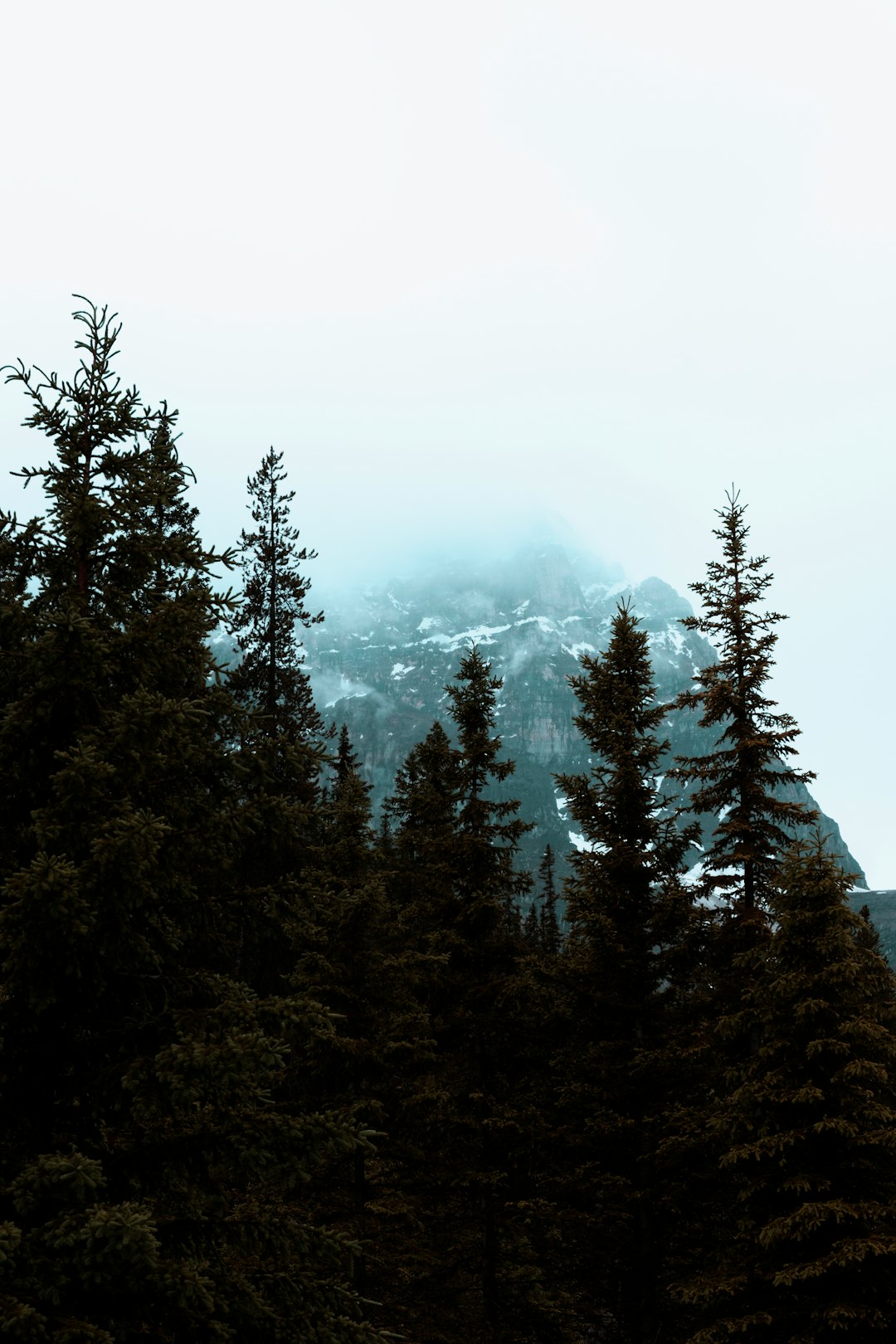 Forest photo spot Field Moraine Lake