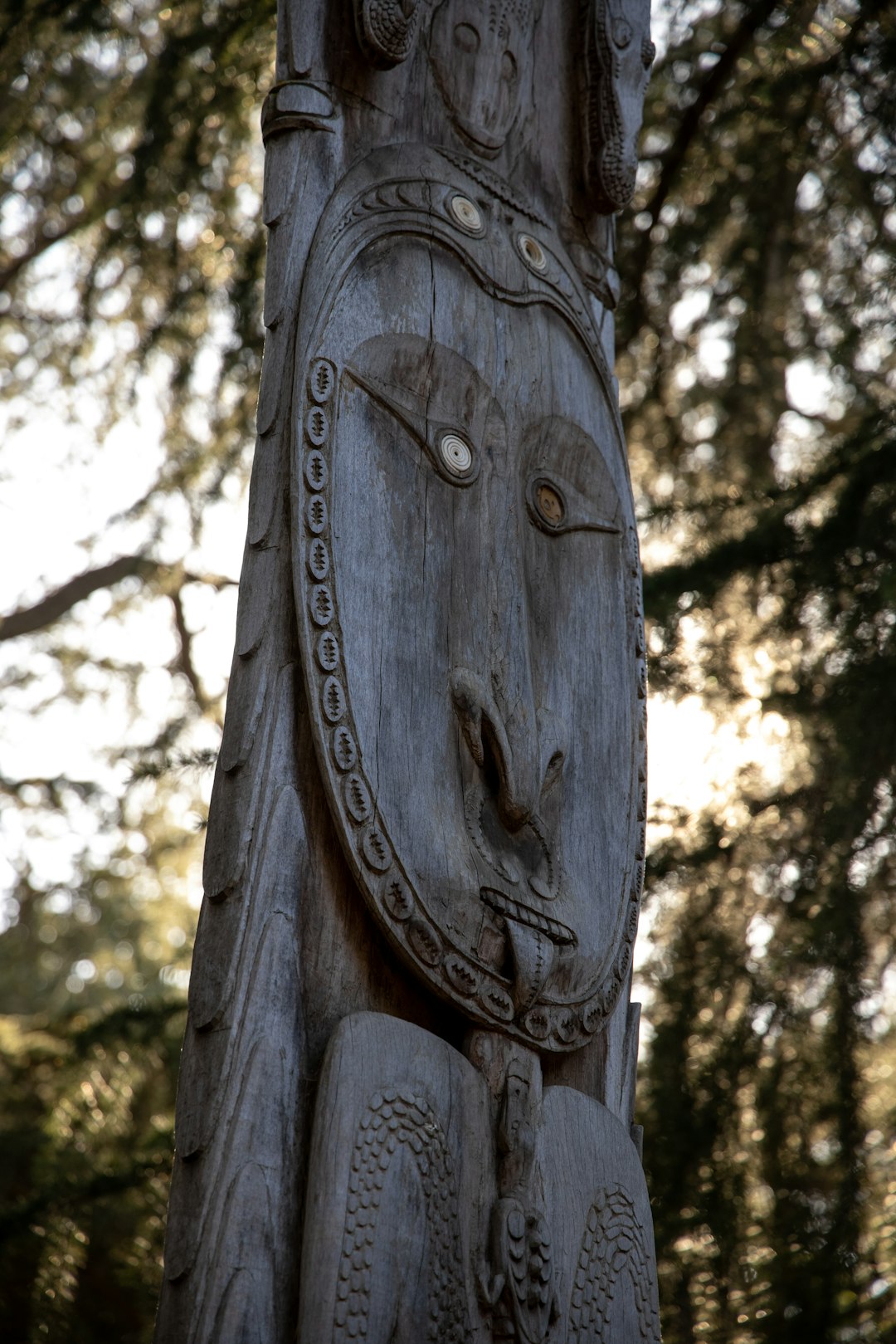 brown wooden carved tree trunk