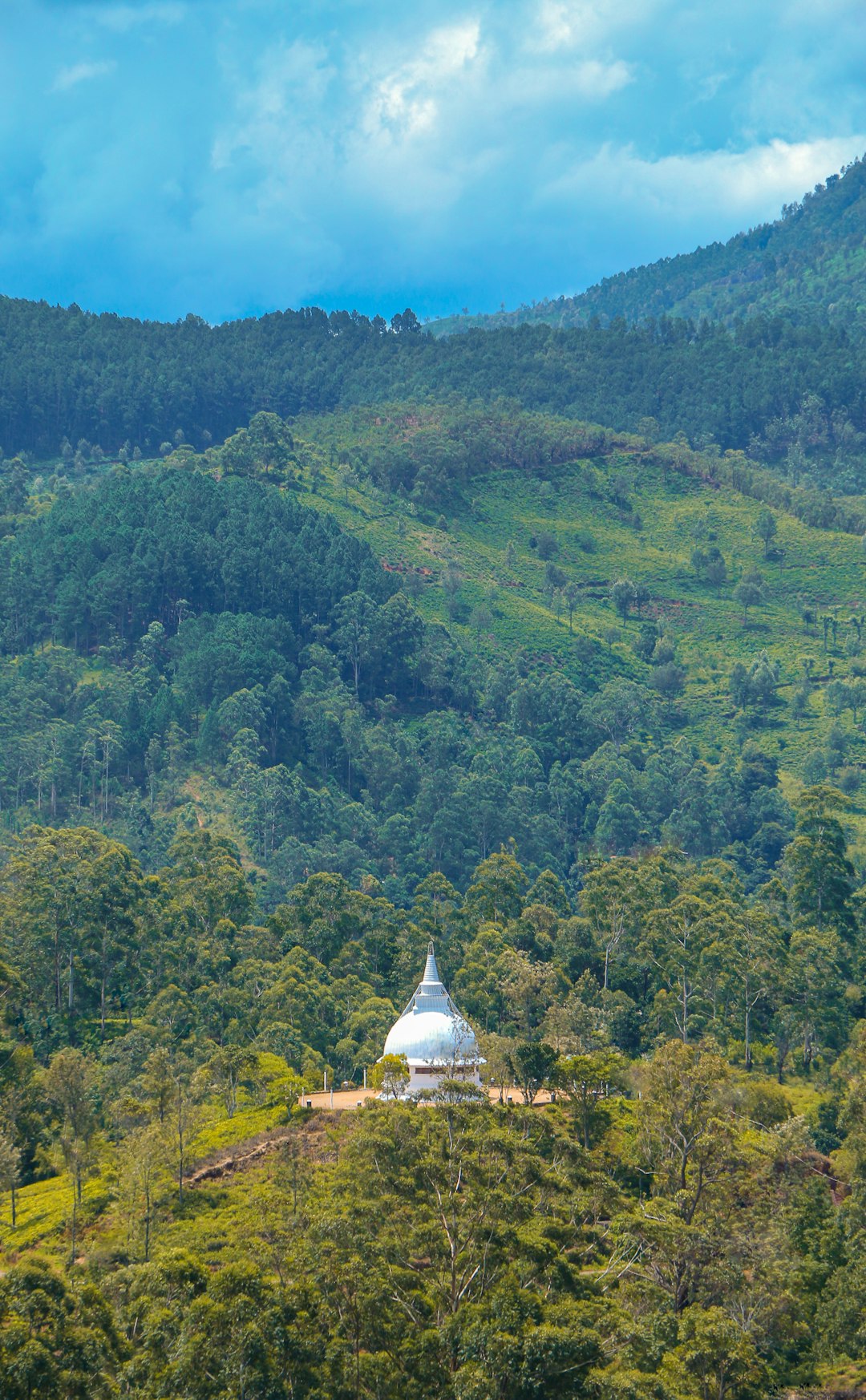 Hill station photo spot Gampola Ella Rock